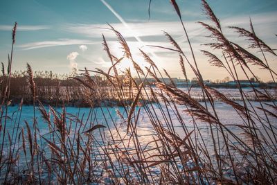 Scenic view of lake against sky at sunset