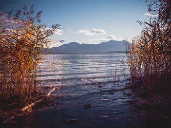 Scenic view of lake against sky during sunset