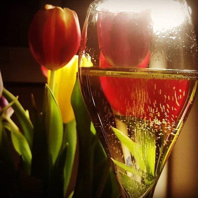 close-up, glass - material, focus on foreground, indoors, transparent, food and drink, still life, no people, red, hanging, freshness, reflection, selective focus, green color, day, food, glass, multi colored, sunlight