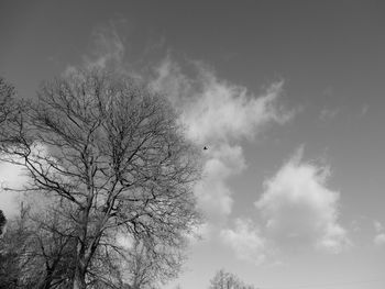 Low angle view of bare trees against sky