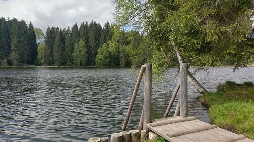 Scenic view of lake against trees