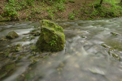 Stream flowing through a forest
