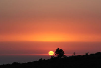 Silhouette trees against orange sky