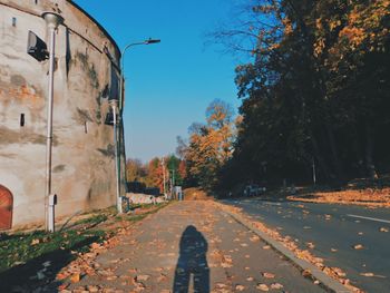 Road amidst trees in city against sky