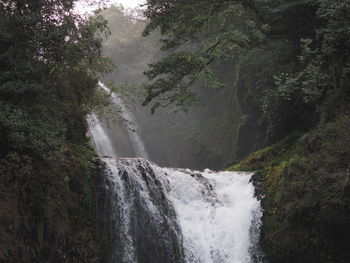 Scenic view of waterfall in forest