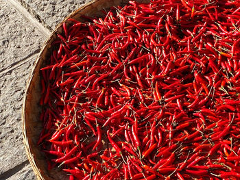 High angle view of red chili peppers