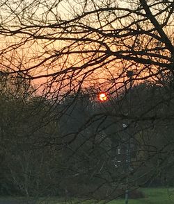 Low angle view of bare trees against orange sky