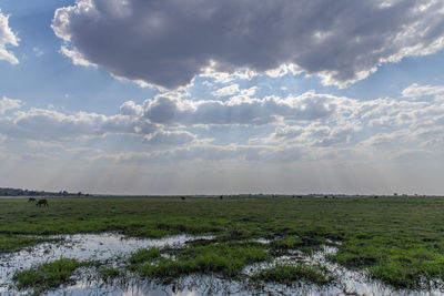 Scenic view of land against sky