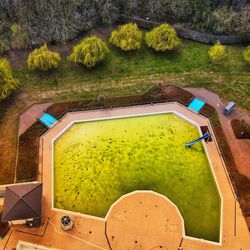 High angle view of tree by lake