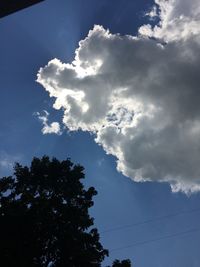 Low angle view of trees against cloudy sky