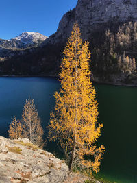 Scenic view of lake and mountains against sky