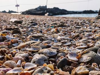 Surface level of stones on beach