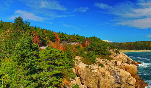 Scenic view of trees and rocks against sky