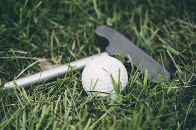 Close-up of golf club and golf ball on grass