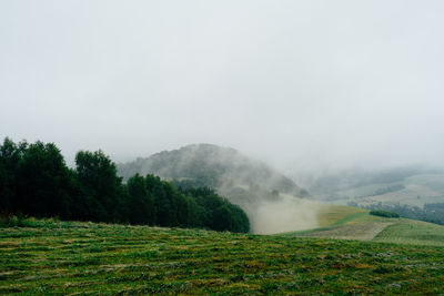 Scenic view of landscape against sky