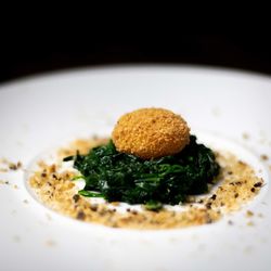 Close-up of food served in plate