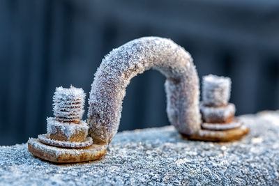 Close-up of rusty chain on snow