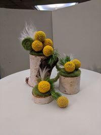 High angle view of potted plant on table