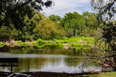 Scenic view of lake in forest against sky