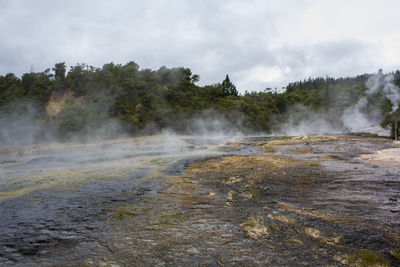 Silica terraces , orakei korako geyserland, geothermal park, new zealand