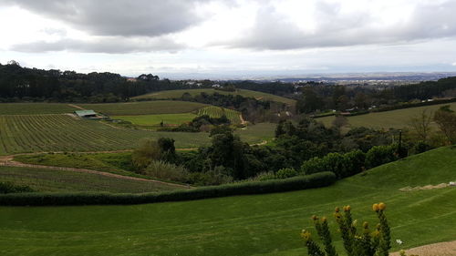 Scenic view of agricultural field against sky