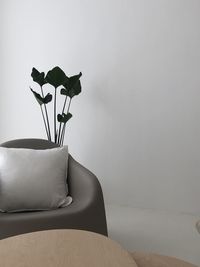 White flowers in vase against wall at home