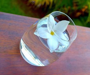 High angle view of white flower on table