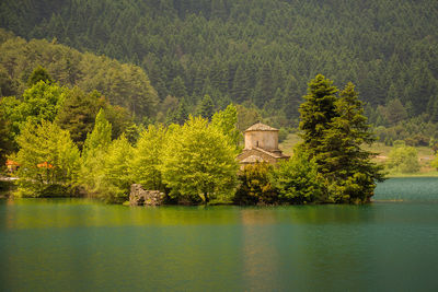 Scenic view of lake and trees in forest