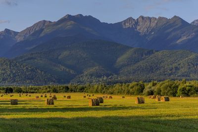 Scenic view of field and mountains against sky