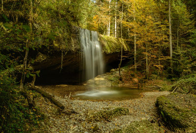 Scenic view of waterfall in forest