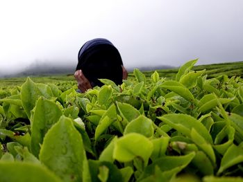 Woman standing amidst plants on field against sky