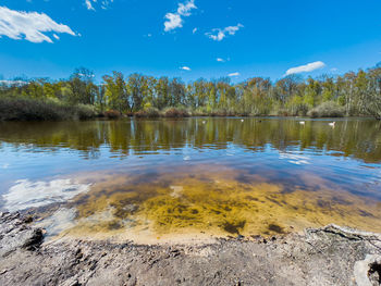 Scenic view of lake by trees against blue sky