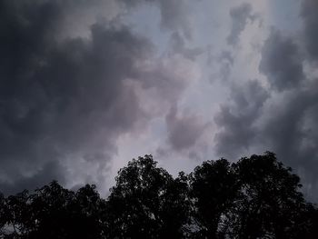 Low angle view of trees against cloudy sky