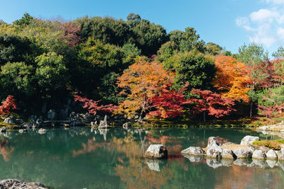 Scenic view of lake by trees during autumn