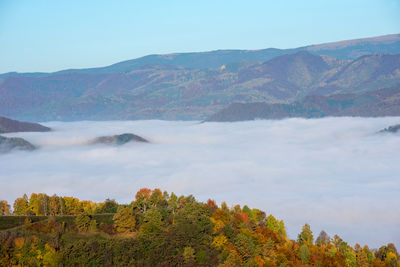 mountain