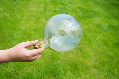 An incandescent lamp in a child's hands at the background of green grass, a close-up, new ideas