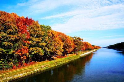 River with trees in background