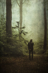 Man on forest path