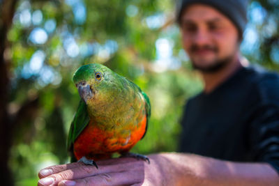 Close-up of a hand holding bird