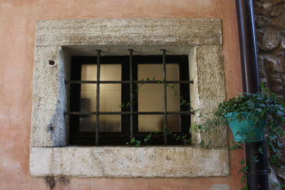 Windows of a building