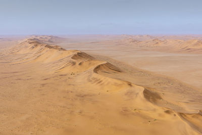 Aerial view of a dune in the namibian desert