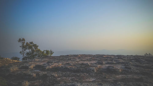 Scenic view of landscape against clear sky