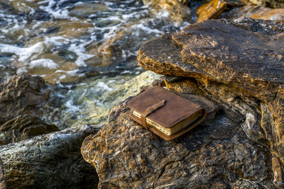 High angle view of rock on sea shore