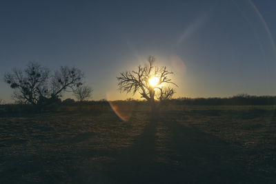 Sun shining over field