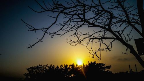 Silhouette bare tree against sky during sunset