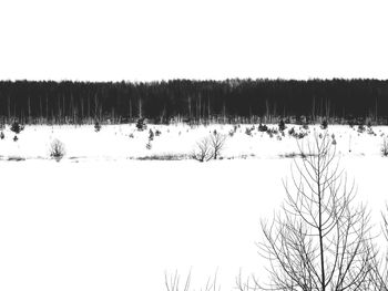 Bare trees on snow covered landscape