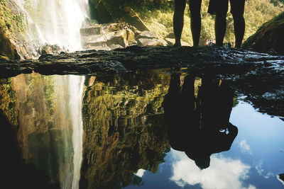 Reflection of trees in water