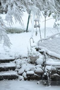 Snow covered trees