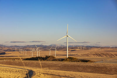 Wind turbines in a field with blue sky