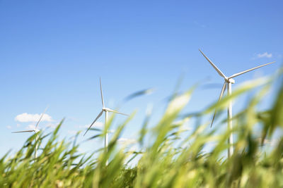 Wind turbines on grassy field against blue sky